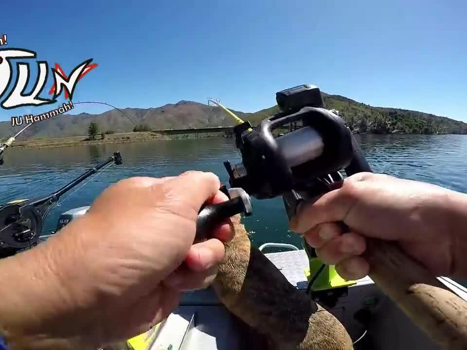 Kokanee Fishing with Kokanee Kowboy Dodger JU Nation Fishing