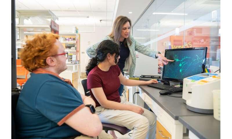 Hippocampal pathways once thought separate converge to integrate 'where' and 'why' in reward processing