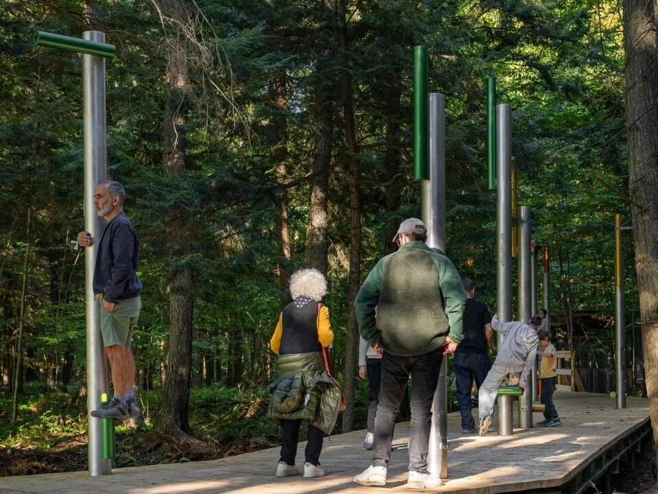 When the Forest Sings Back: Human Perches in Quebec - NewsBreak