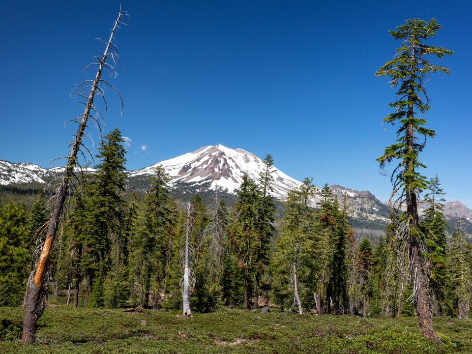 See how the current unemployment rate in Delaware County compares to the rest of the state