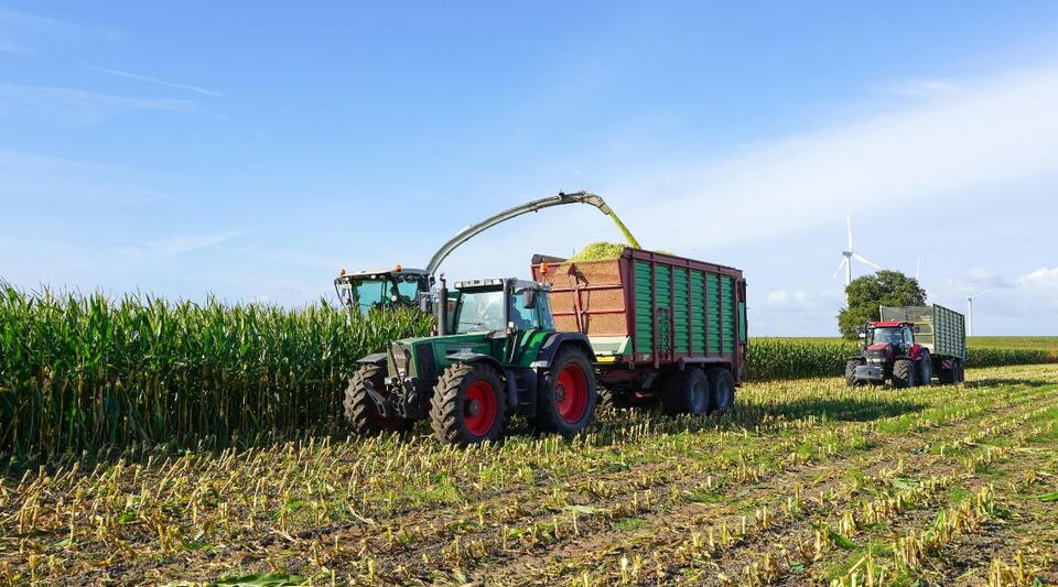 Well-Known Farm-to-Table Market Just Filed for Chapter 11 Bankruptcy ...