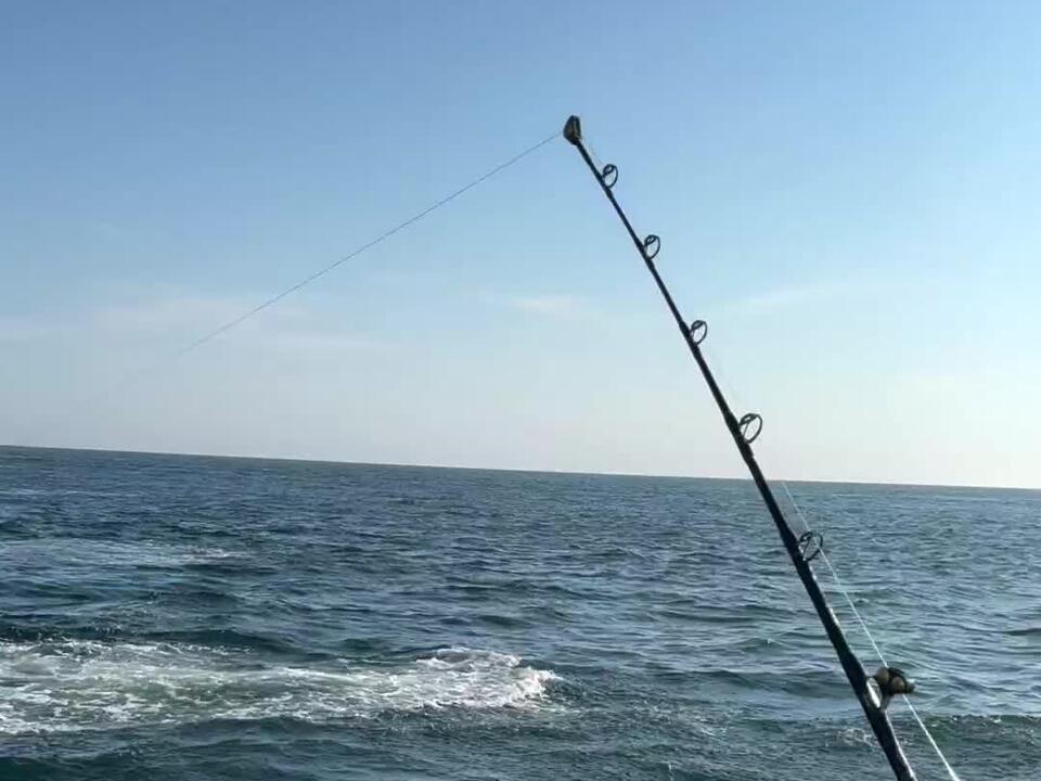 Name of that shark! Florida Shark Fishing Crazy Floridian