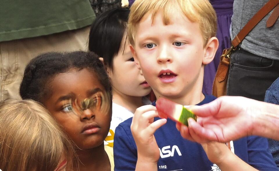 Butterfly Festival draws record crowds - NewsBreak