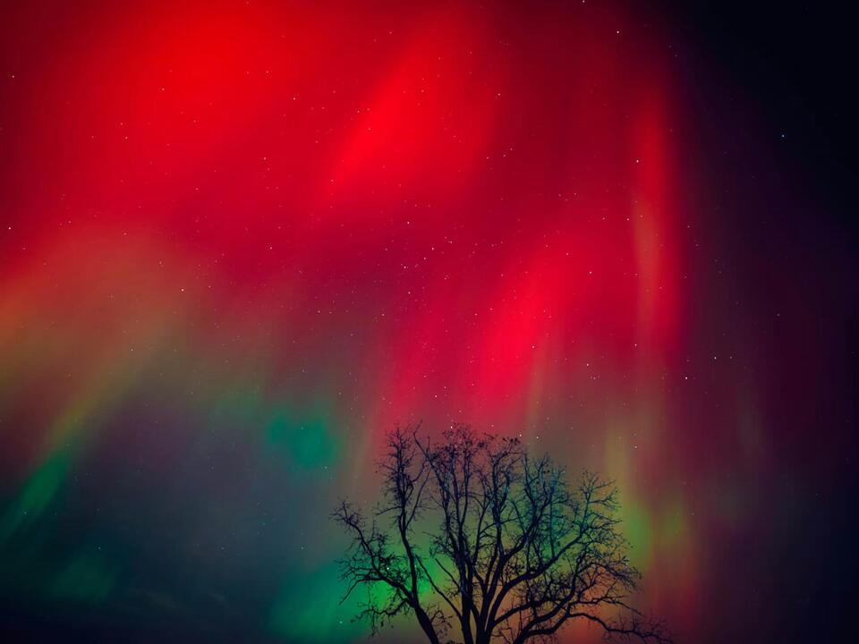 Northern lights visible in rare sighting across the US — see the pics