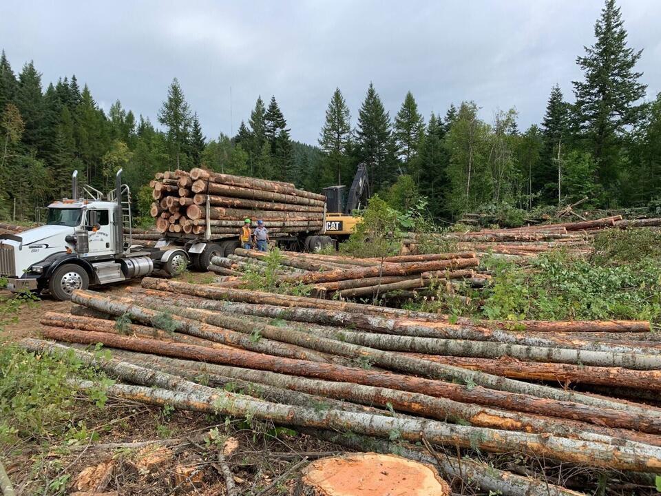 Forest Service, Department of Lands forge new agreements to expand ...