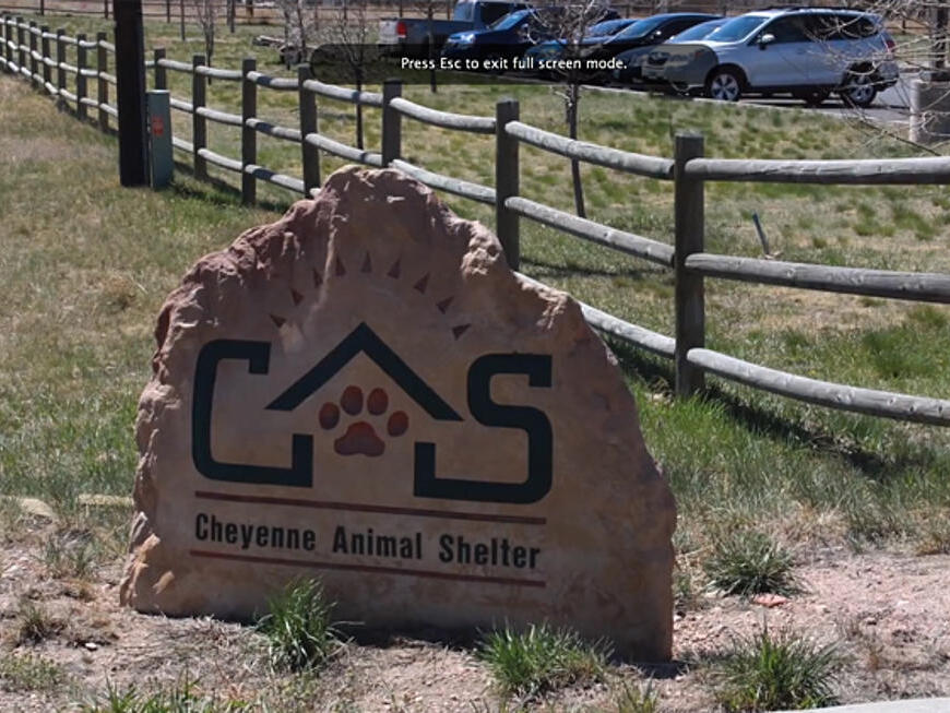 Cheyenne Animal Shelter Funding Issues On Weekend In Wyoming