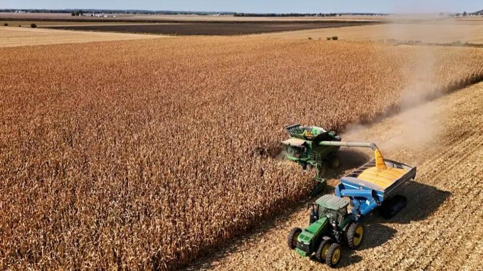 Hedge Pressure Weighs on Grain Markets as Soybean Inspections Surge ...