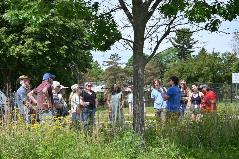 History of trees explored in Ann Arbor collaborative series - NewsBreak
