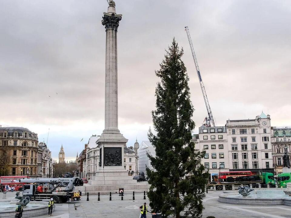 When is the Trafalgar Square Christmas Tree Lighting Ceremony 2025?
