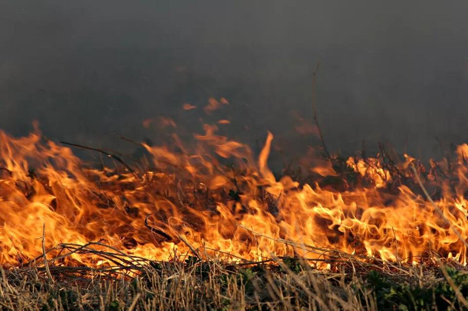 Six Iowa Counties Under Burn Bans - NewsBreak