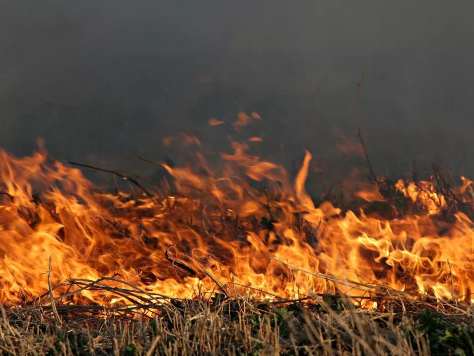 Six Iowa Counties Under Burn Bans