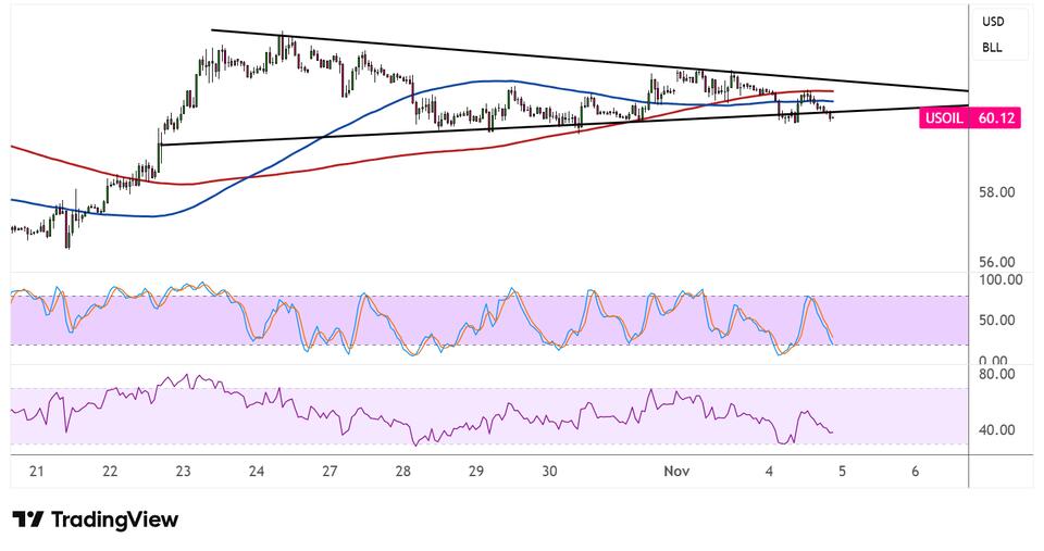 WTI Crude Oil Price Analysis for November 5, 2025 - NewsBreak