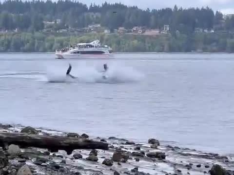 My Son Shot This Video of “Jack” T137A Orca While We Were Walking Along ...