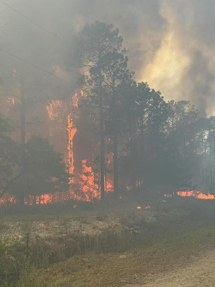 Recent Brunswick wildfire sparks concern about development raising fire ...