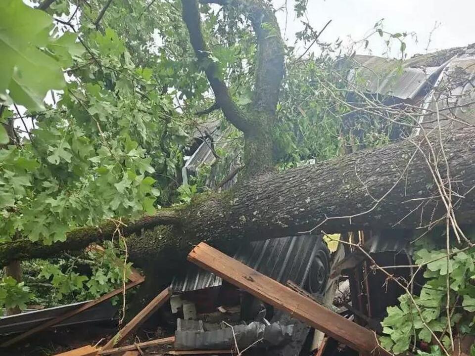 Storm Damage Leaves Many Without Power