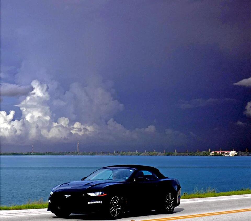 9 Hidden Dangers In Florida That Could Turn Your Road Trip Into A ...