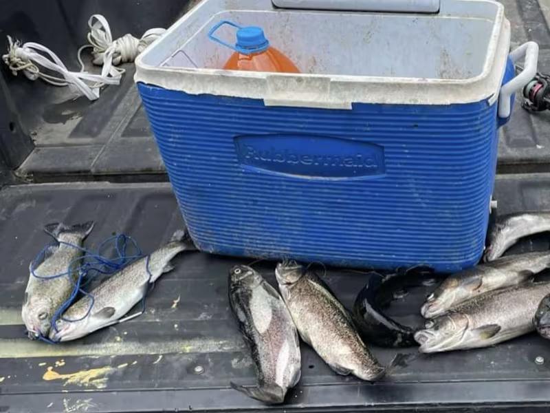 Missouri Department of Conservation reminds fishermen of fish limits