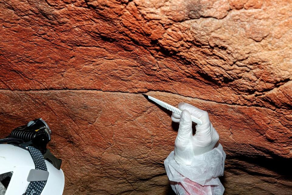 Scientists Discover Ancient Human DNA Hidden in Cave Walls for ...