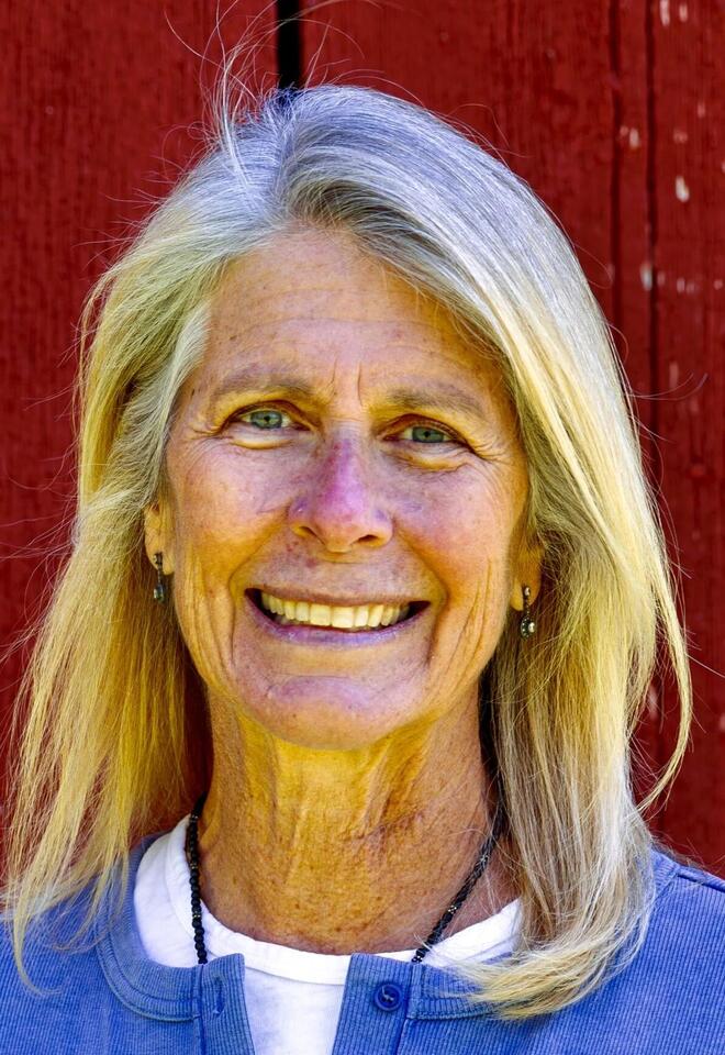 Retired librarian seeks Calvert school board seat - NewsBreak