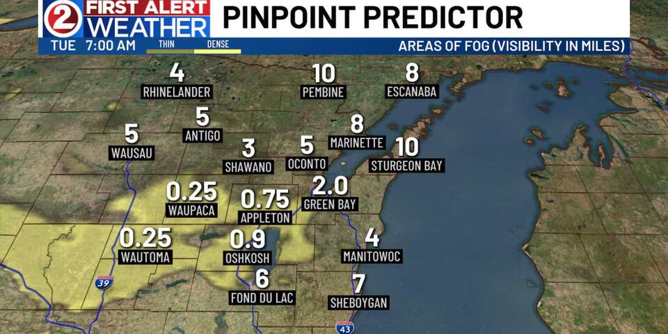 Patchy fog tonight, mild afternoons this week