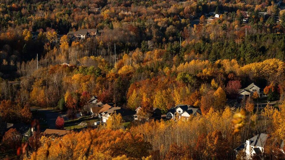 Have trees started to change color? When fall colors will peak