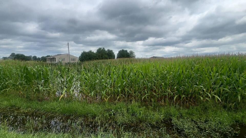 Heavy rain creates challenges for Ohio farmers as harvest approaches