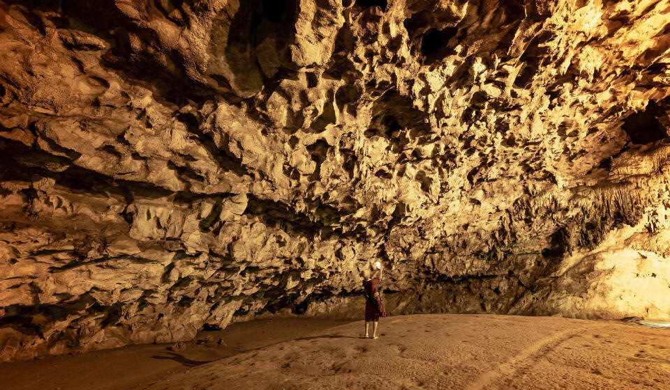 13 Things School Textbooks Still Say About Early Humans - NewsBreak