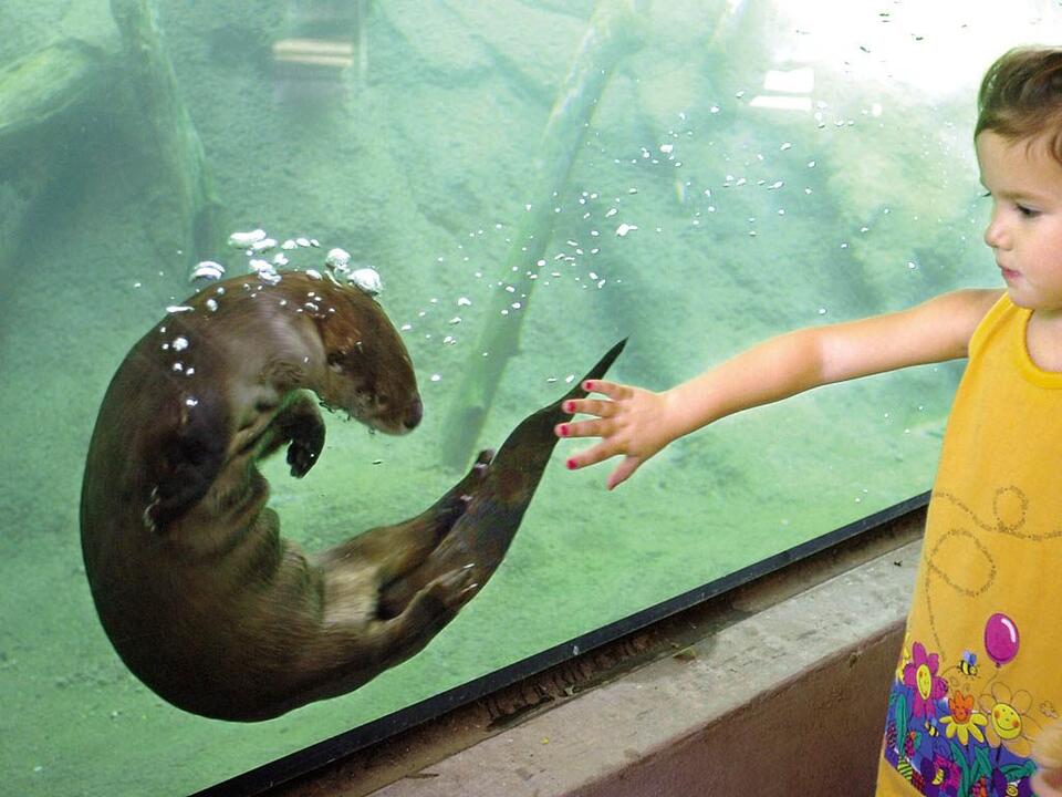 A Guide to Cameron Park Zoo