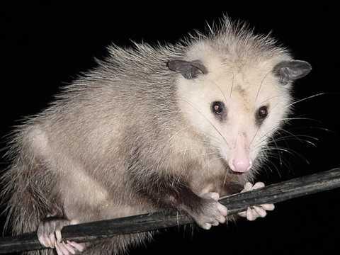 Deputies: 2 South Carolina teens facing charges after discovery of