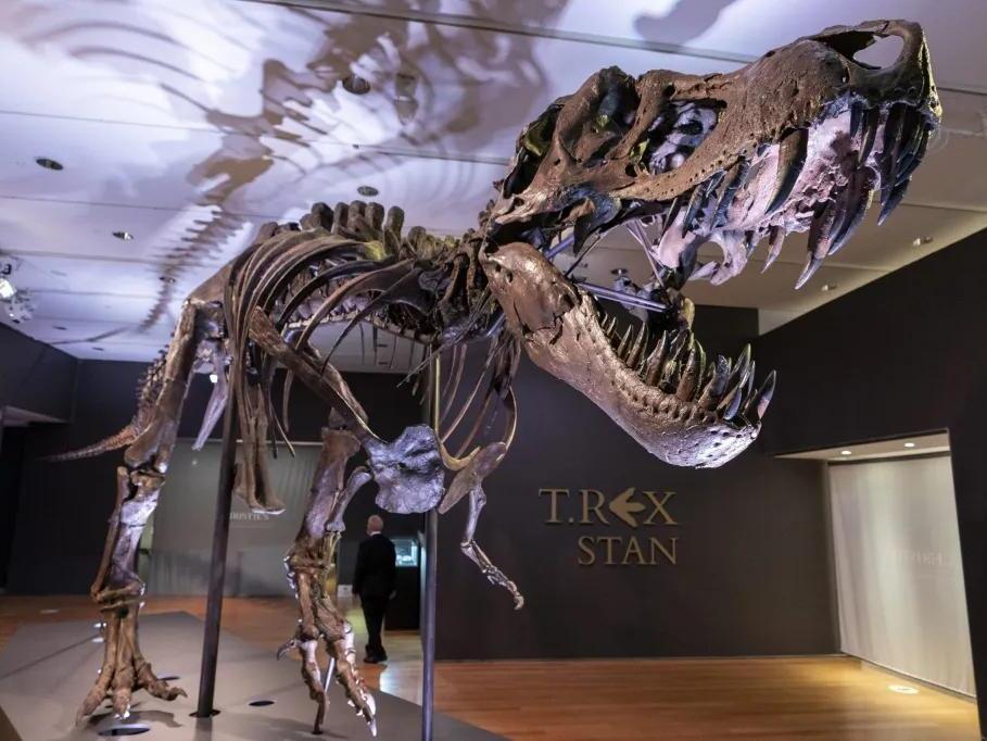 Why there are no dinosaur fossils in Maine