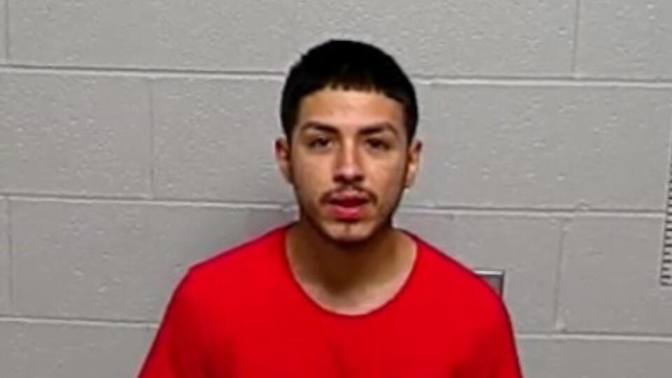 Cook County man arrested after alleged gun, cocaine sales to undercover ...