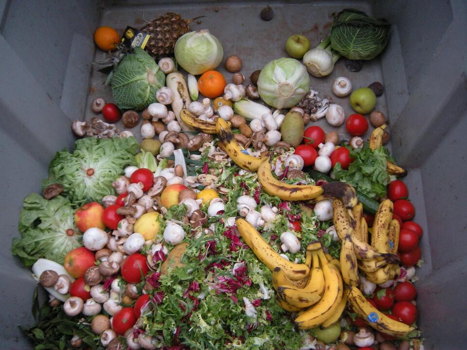 New York Food Waste Action Network Launches to Cut Climate Pollution ...