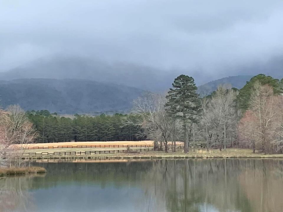 Georgia DNR: Deal reached to preserve Pine Log WMA - NewsBreak