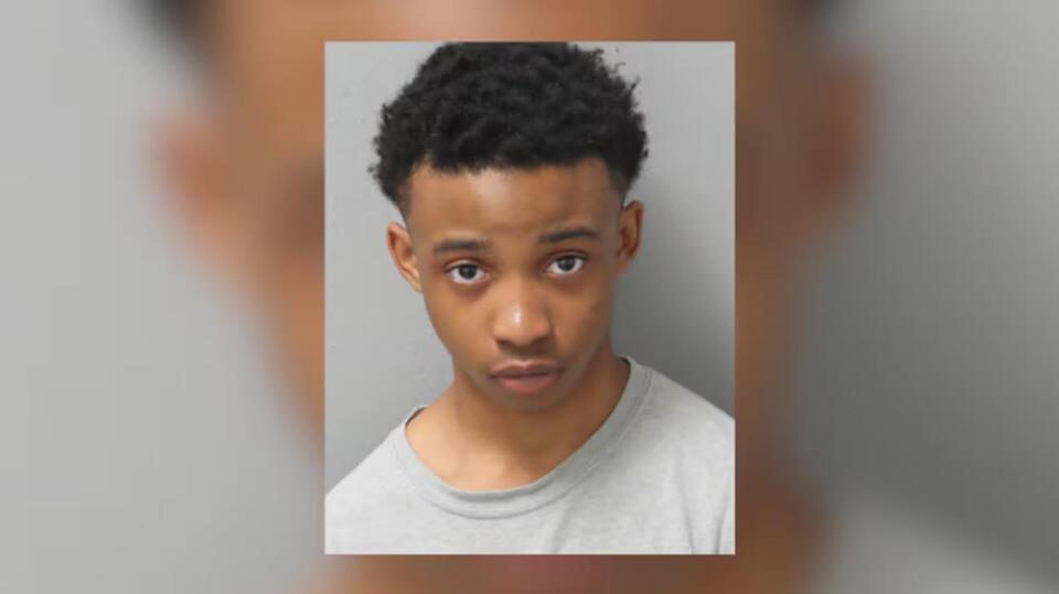 15-year-old sentenced to 20 years in prison for carjacking murder of St ...