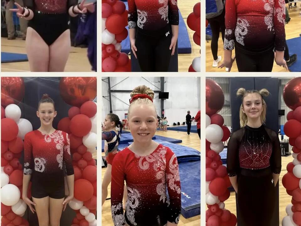 Southern Elite Gymnastics gymnasts make history at regionals