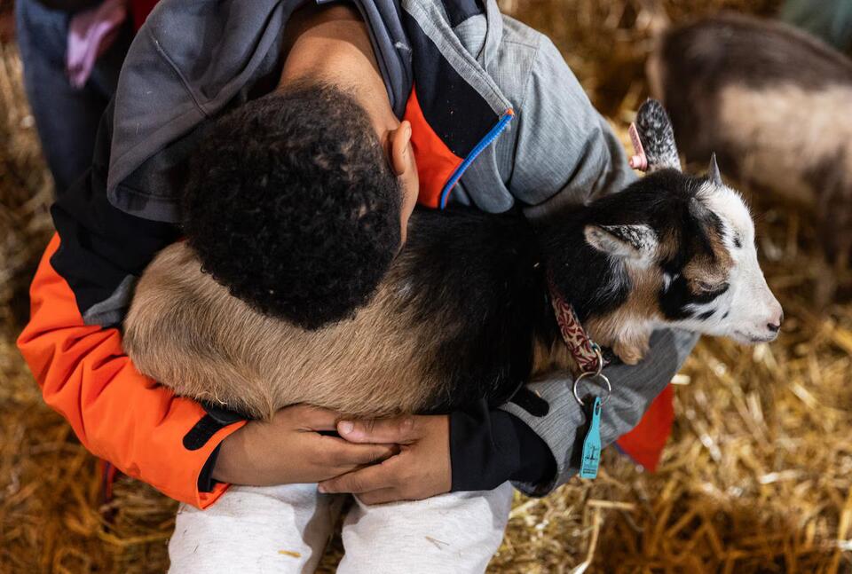 Farmer who runs Pa. goat-snuggling biz charged with animal cruelty ...