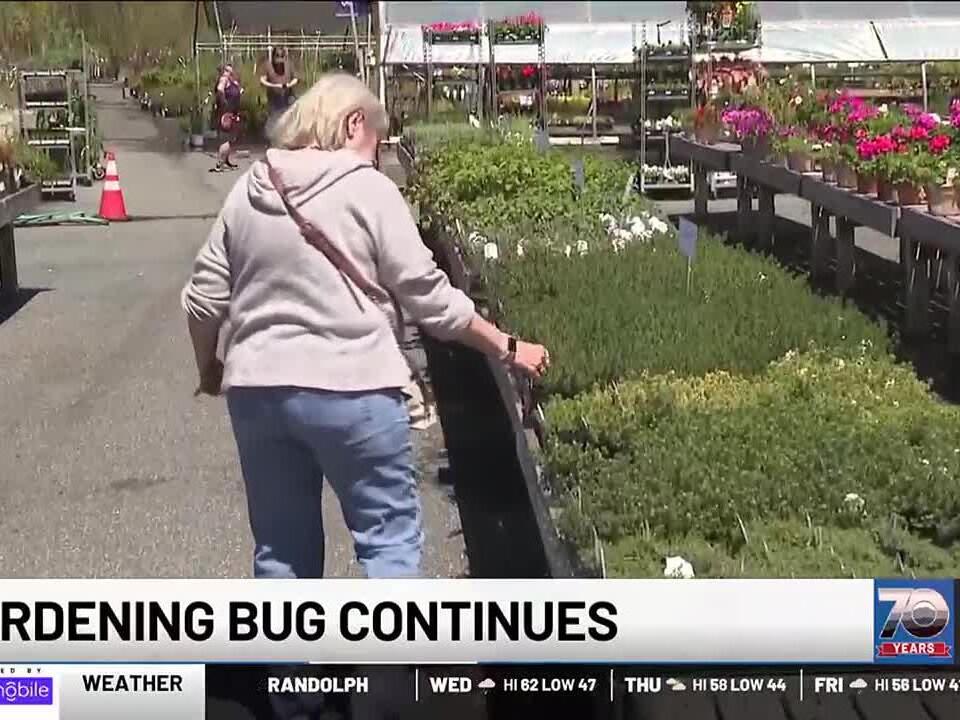 Vt. nurseries, garden centers continue to see brisk business