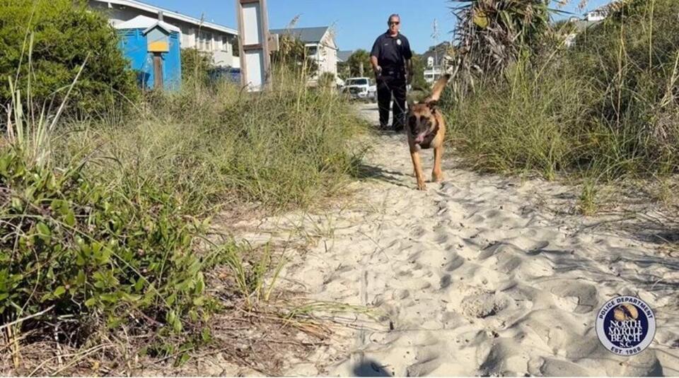 Homemade bomb found on SC beach could've caused ‘significant injury ...