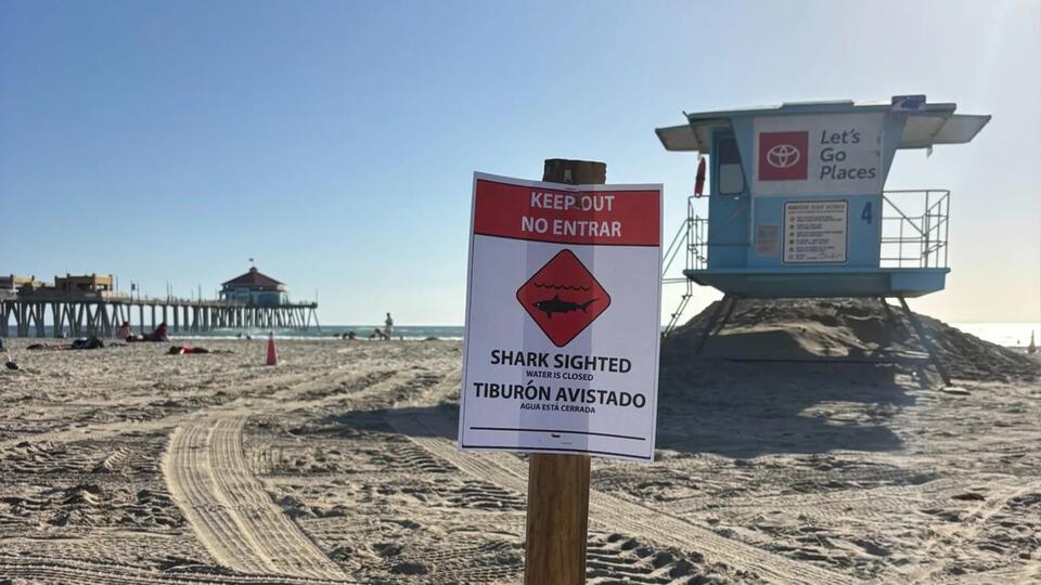 Huntington Beach Closed After ‘Aggressive’ Great White Shark Spotted ...