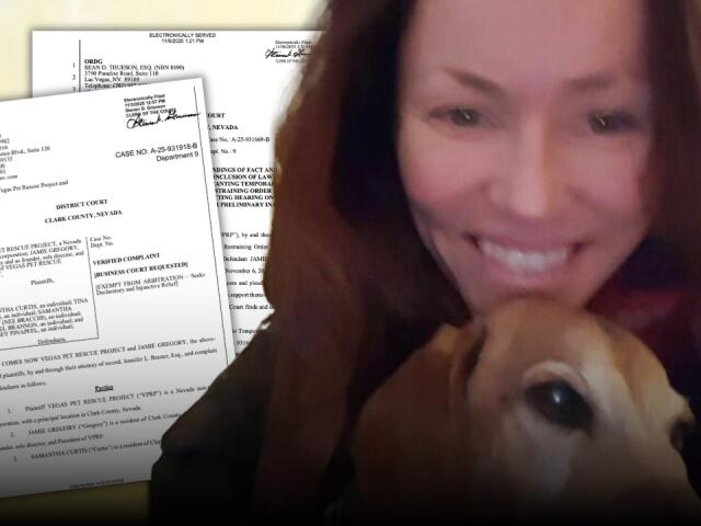 Pet rescue founder fires back at board, files lawsuit amid theft ...