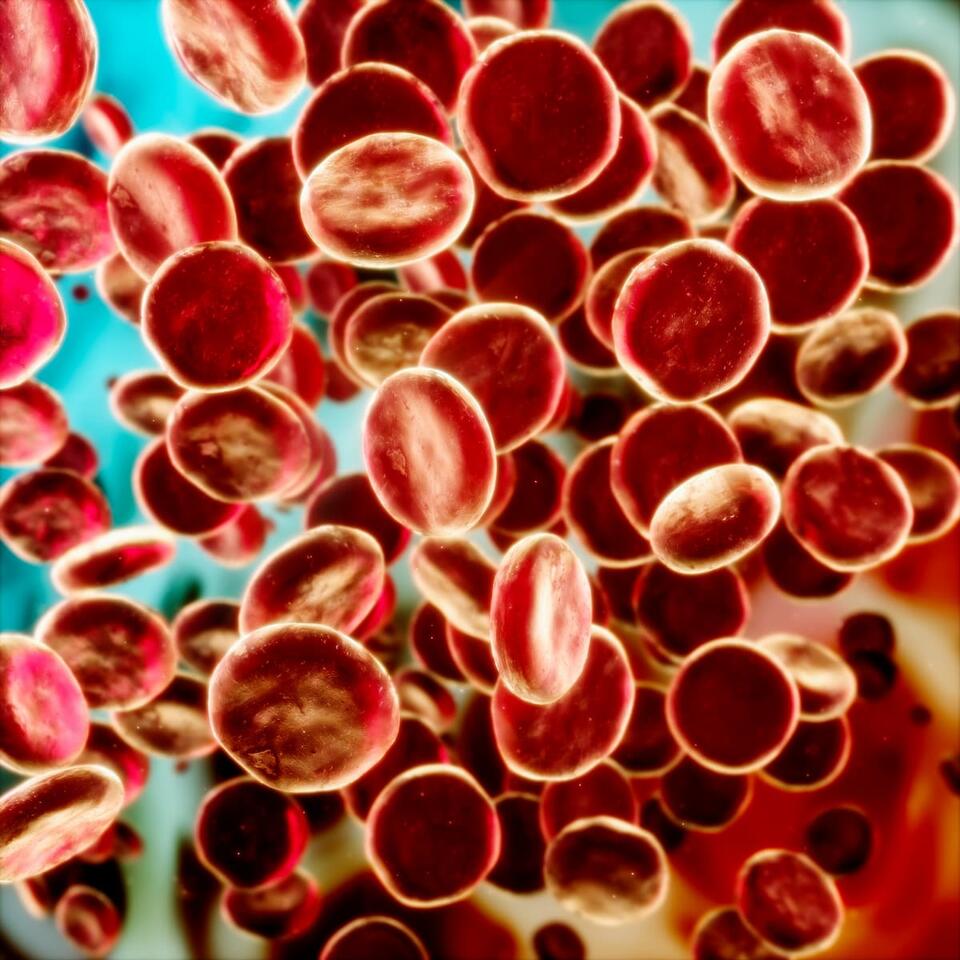 A Slow Embrace: Hemophilia's Gradual Adoption of Gene Therapy
