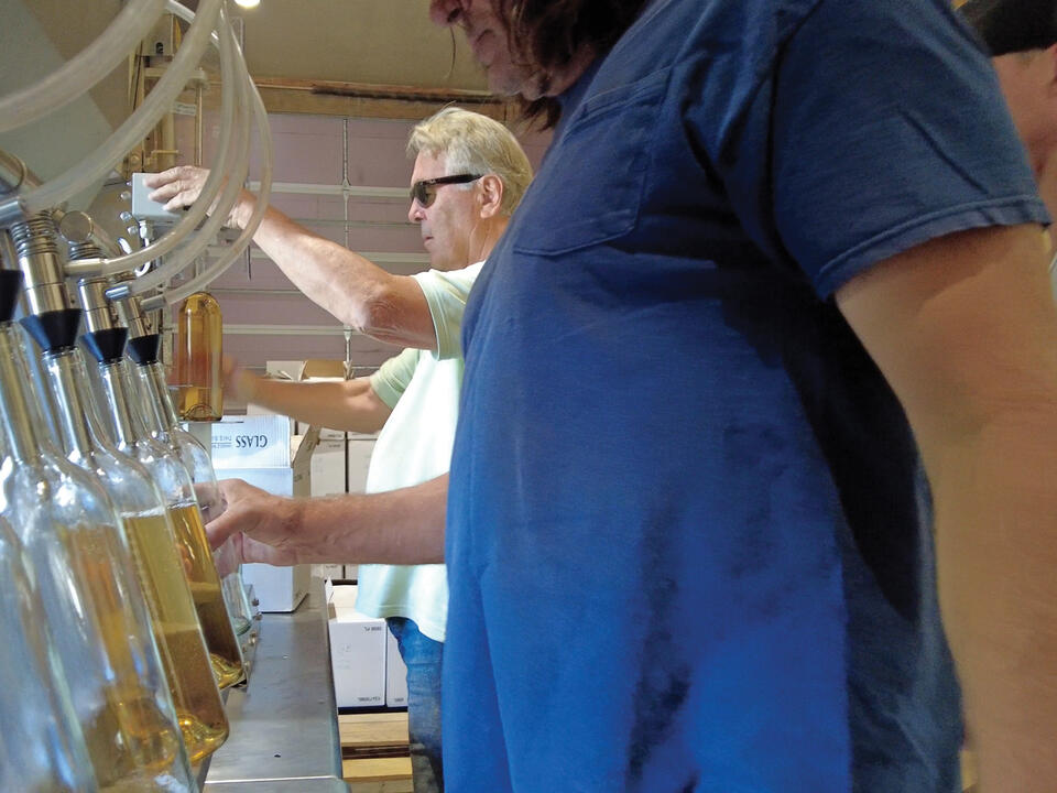 Zion Vineyards Perfects Wine Making In Southern Utah