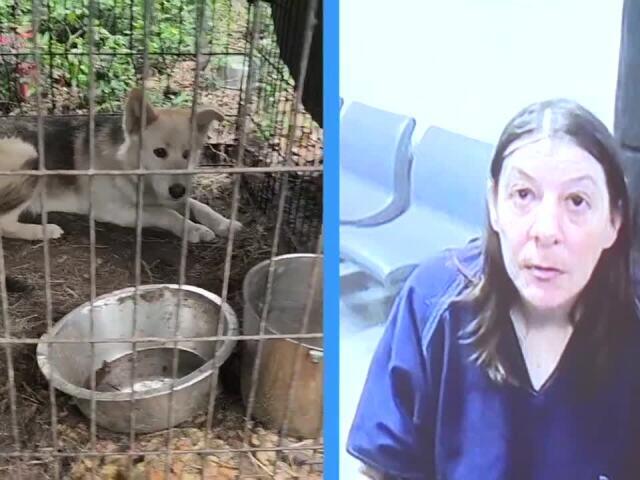 NEW VIDEO: Tallahassee woman charged with animal cruelty - NewsBreak