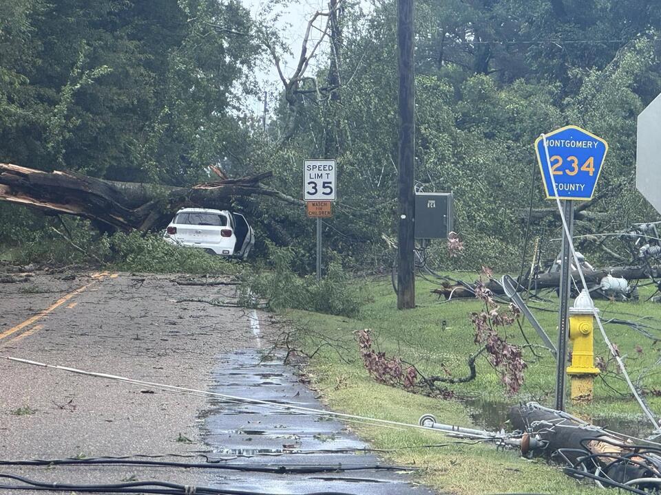Fallen tree causes temporary road closure in Montgomery County - NewsBreak