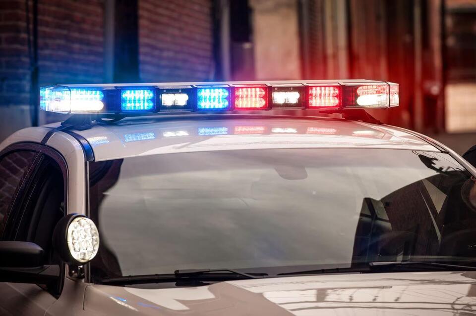 Owner of Pa. animal rescue center charged with neglect: reports - NewsBreak