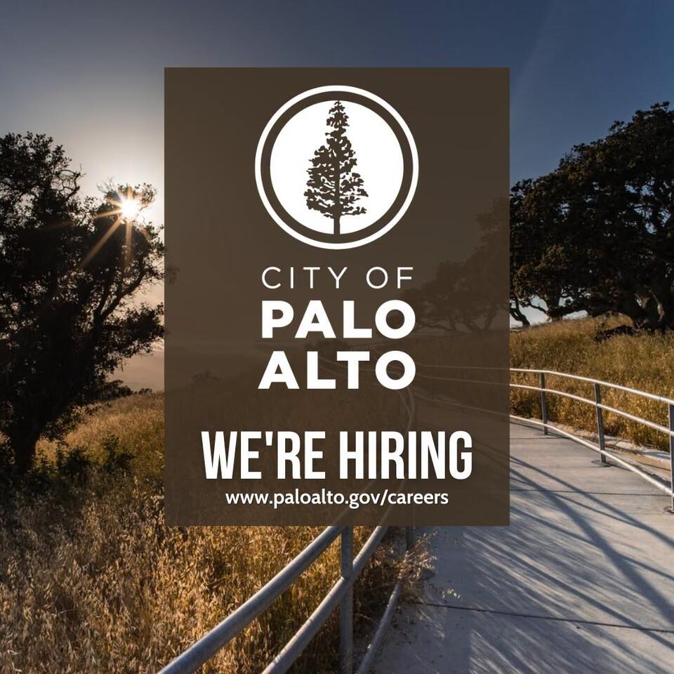 Palo Alto hiring for multiple city jobs - NewsBreak