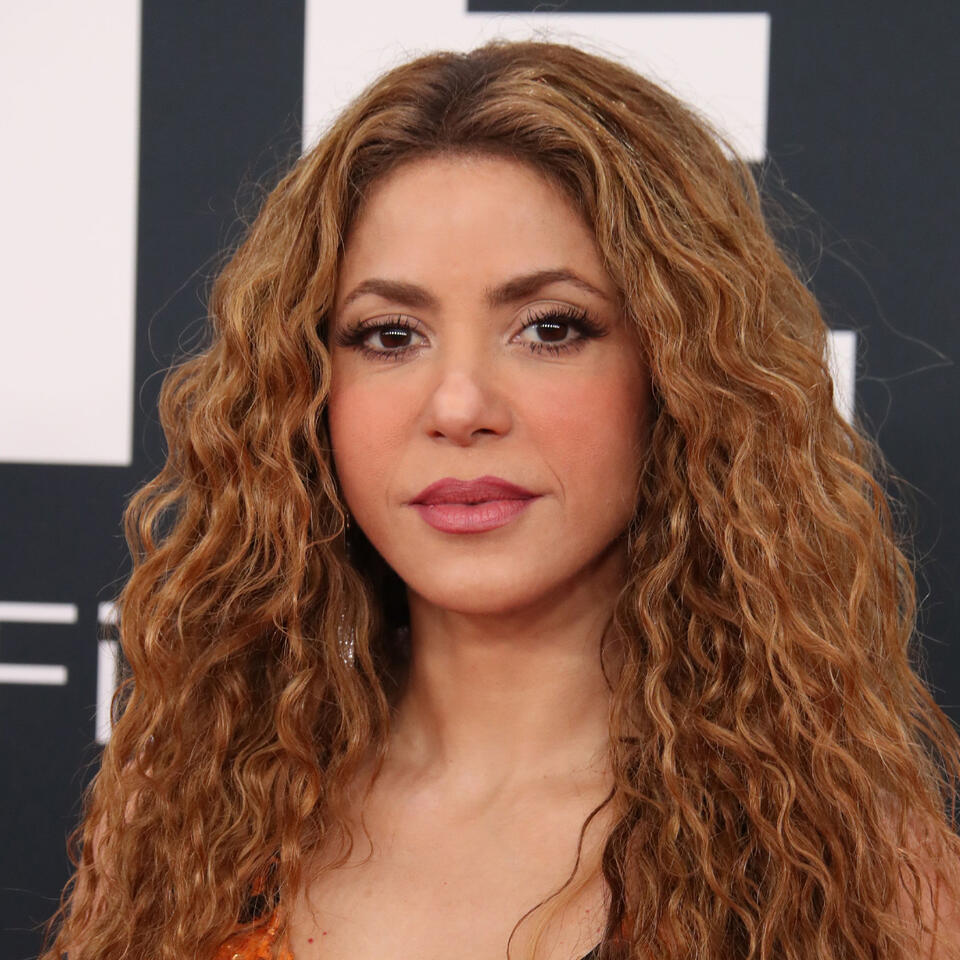 Fans Are Losing It After Shakira Performs 'Hips Don't Lie' In A Netted Sparkling Dress During Concert Ahead Of World Cup Final Performance: 'She Is Really On Fire'