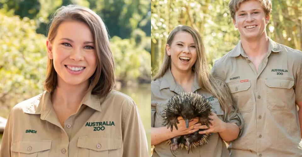 Bindi Irwin Officially Leaving Australia Zoo - NewsBreak