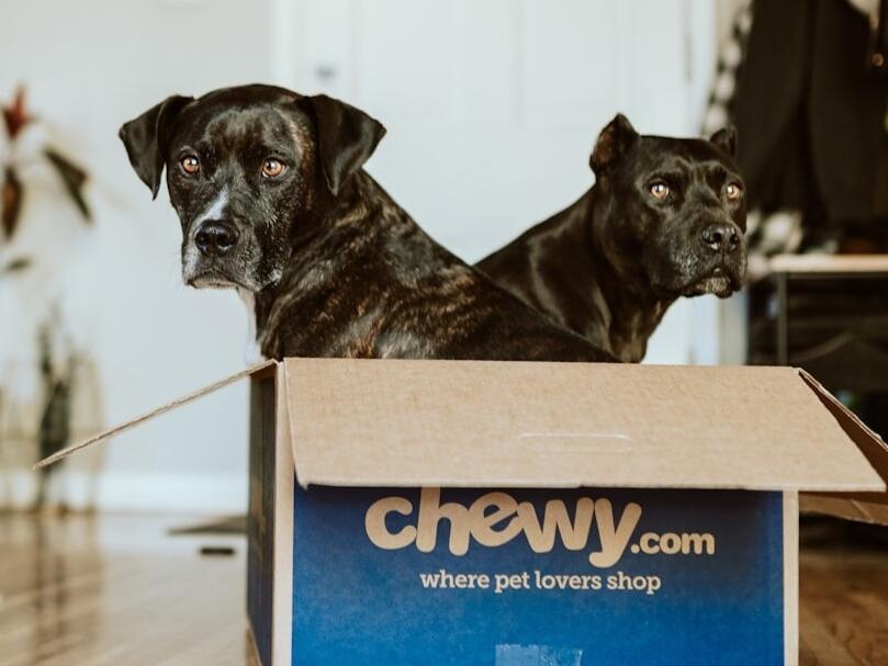 Wag Hotels to Host Annual DogFriendly Halloween Bash in California