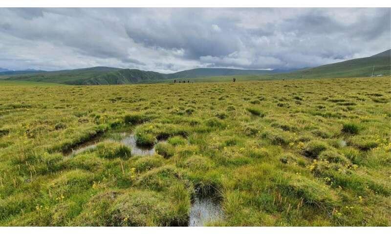 Warming unlocks ancient carbon in Tibetan permafrost, triggering climate tipping point